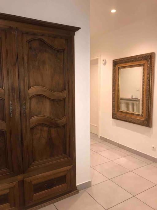 Appartement Des 3 Pays. 2 Mn De Bale+ Free Parking Saint-Louis  Exteriér fotografie