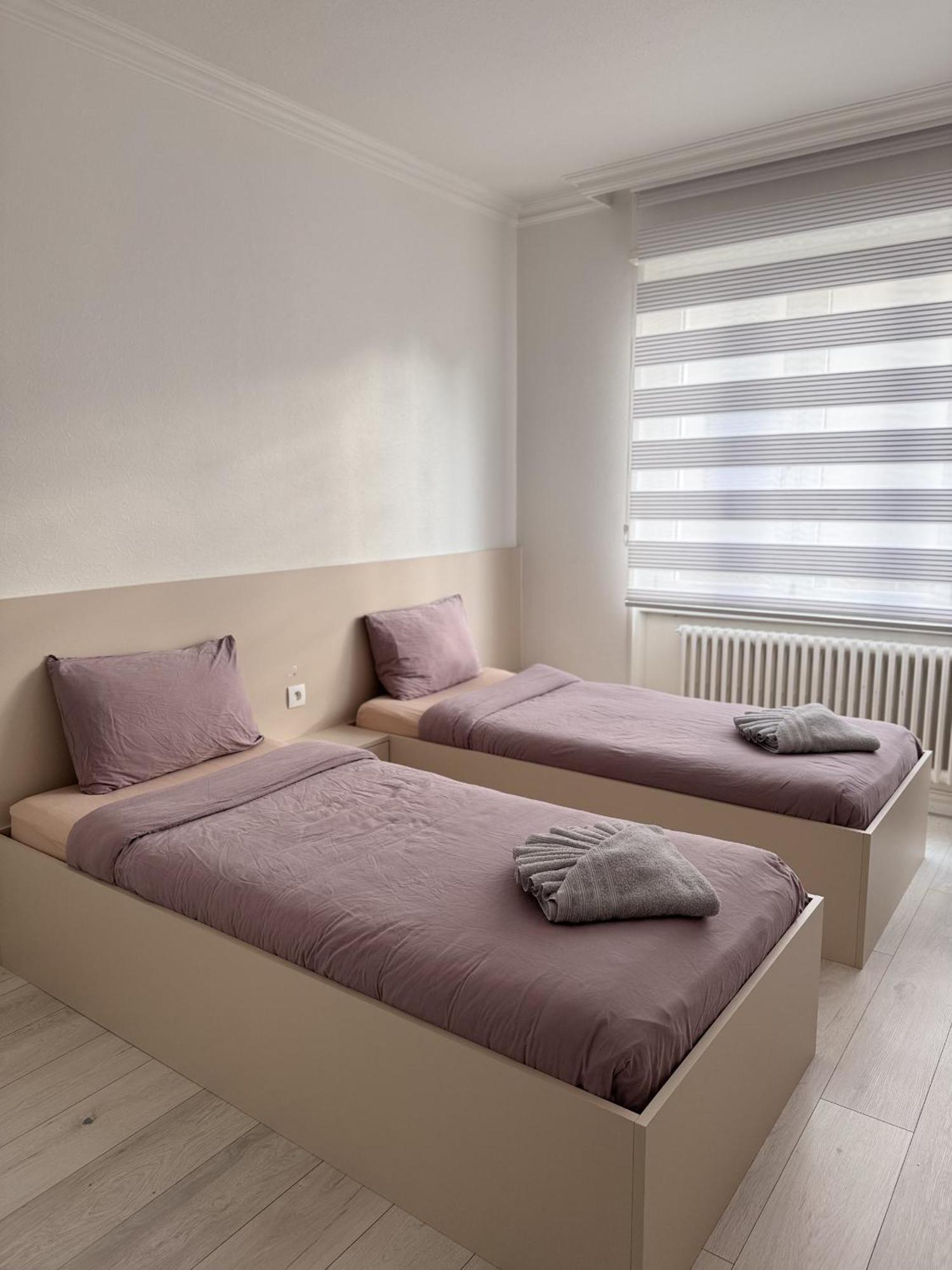 Appartement Des 3 Pays. 2 Mn De Bale+ Free Parking Saint-Louis  Exteriér fotografie