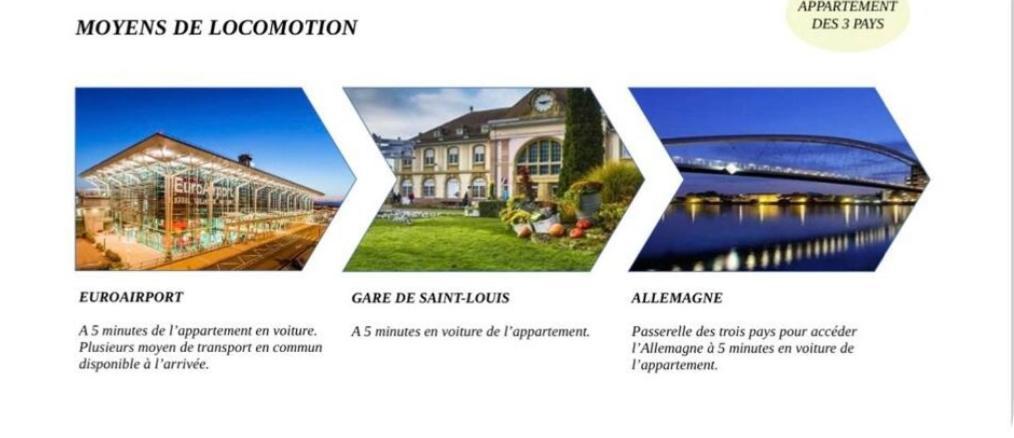 Appartement Des 3 Pays. 2 Mn De Bale+ Free Parking Saint-Louis  Exteriér fotografie
