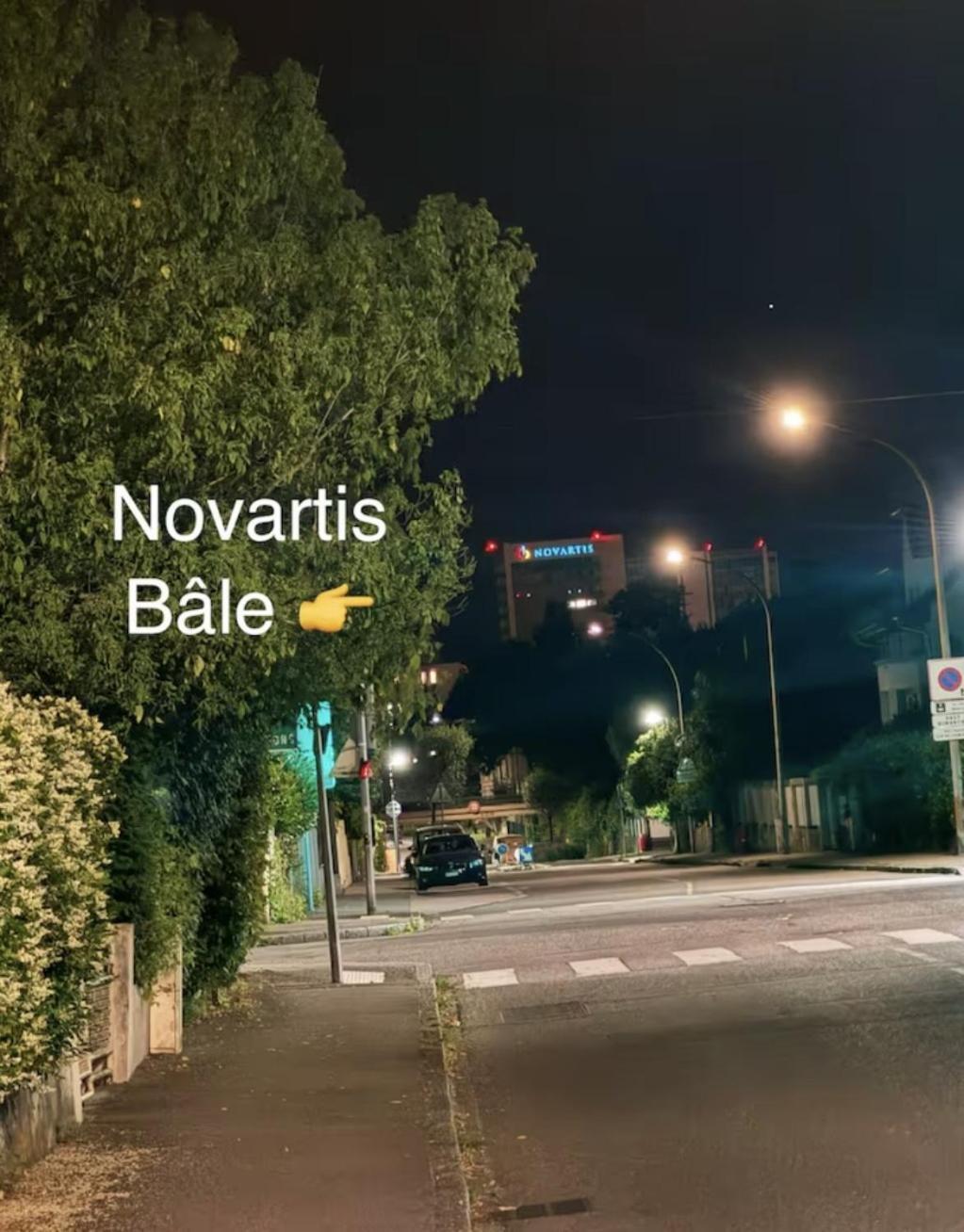 Appartement Des 3 Pays. 2 Mn De Bale+ Free Parking Saint-Louis  Exteriér fotografie
