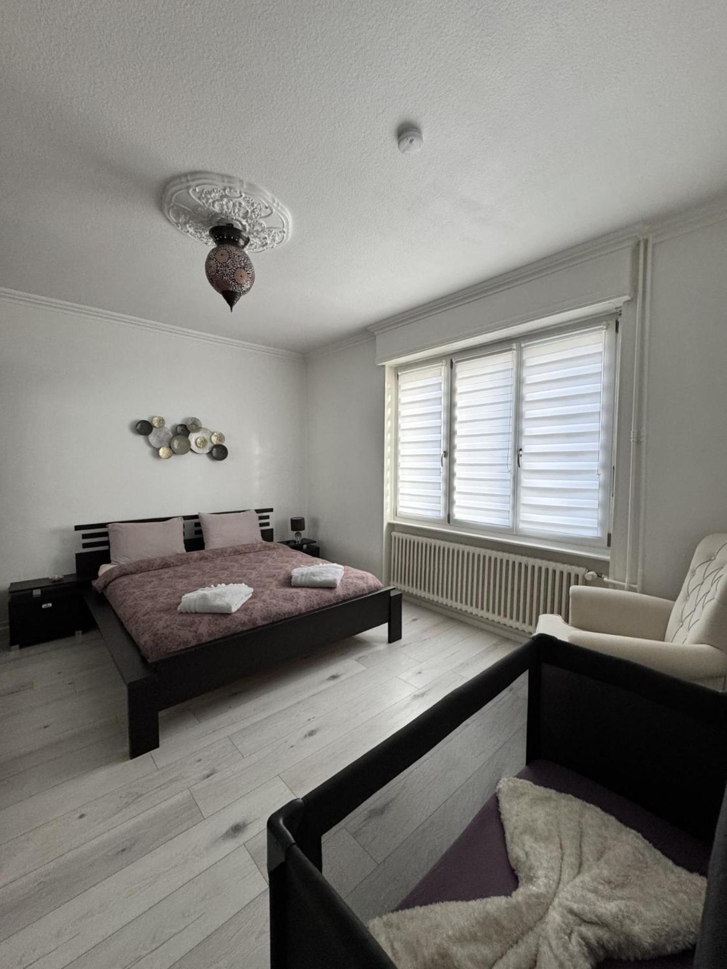 Appartement Des 3 Pays. 2 Mn De Bale+ Free Parking Saint-Louis  Exteriér fotografie